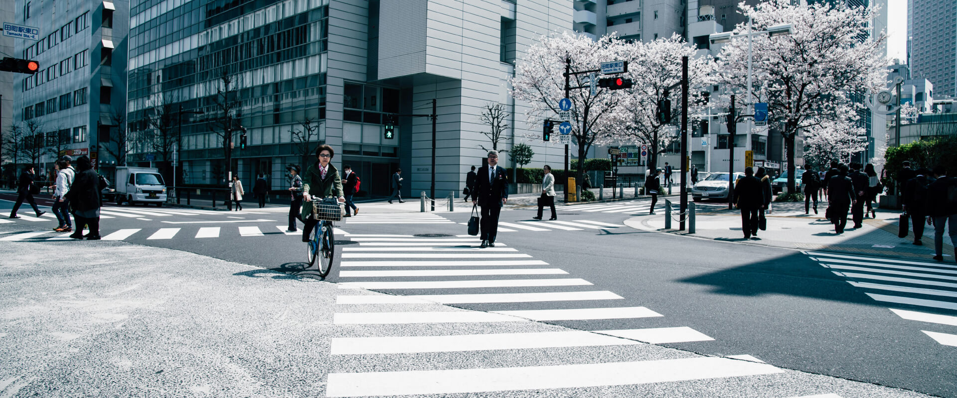 BC Game Team - BC Game s1mple